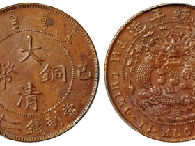 己酉大清铜币厚胚版二十文