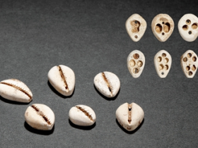 夏•鸡骨白玉贝币