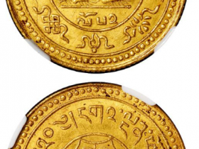 西藏色章果木20Srang金币