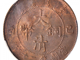 己酉大清铜币当制钱二十文鸡爪龙