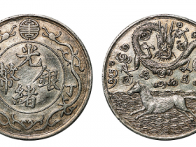 清代丁未光绪银币背海马飞龙臆造币